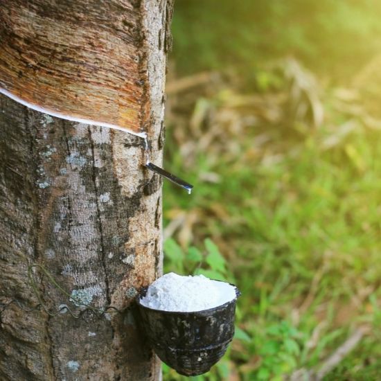 Picture of NATURAL RUBBER