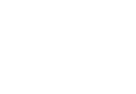 TOPCHEM VST PTE CO., LTD