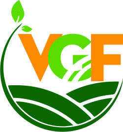 Vietnam Green Field Co.,ltd logo